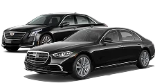 Two black executive sedans.