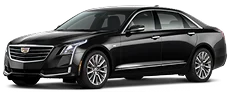 Sleek black business sedan perfect for solo or couple rides with refined comfort.